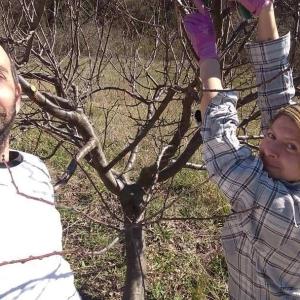titolari durante potatura Azienda Agricola Gli Orti Di Contrada Faieta Castel Castagna Befaro in Abruzzo