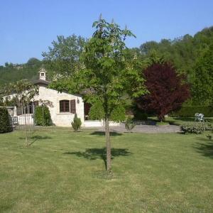 giardino Bed and Breakfast San Giovanni ad Insulam Gran Sasso D'Italia