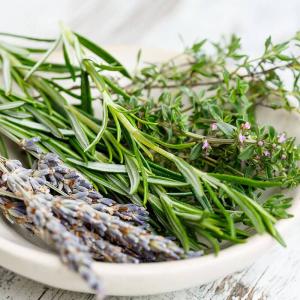 Erbe aromatiche tipiche del territorio del Gran Sasso D'Italia in Abruzzo