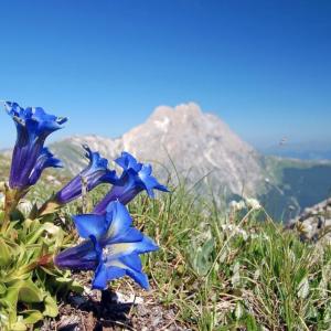 Escursione in vetta nella Valle Siciliana in Abruzzo da Macchia di San Pietro al Pizzo San Gabriele