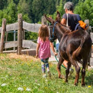 fattoria didattica con pony