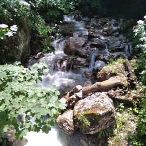 escursione sentieri tra boschi da Isola del Gran Sasso a Piane del Fiume in Abruzzo nel Gran Sasso D'Italia