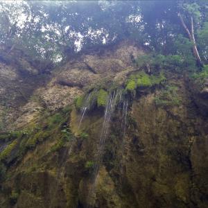 cascata del respiro del bosco