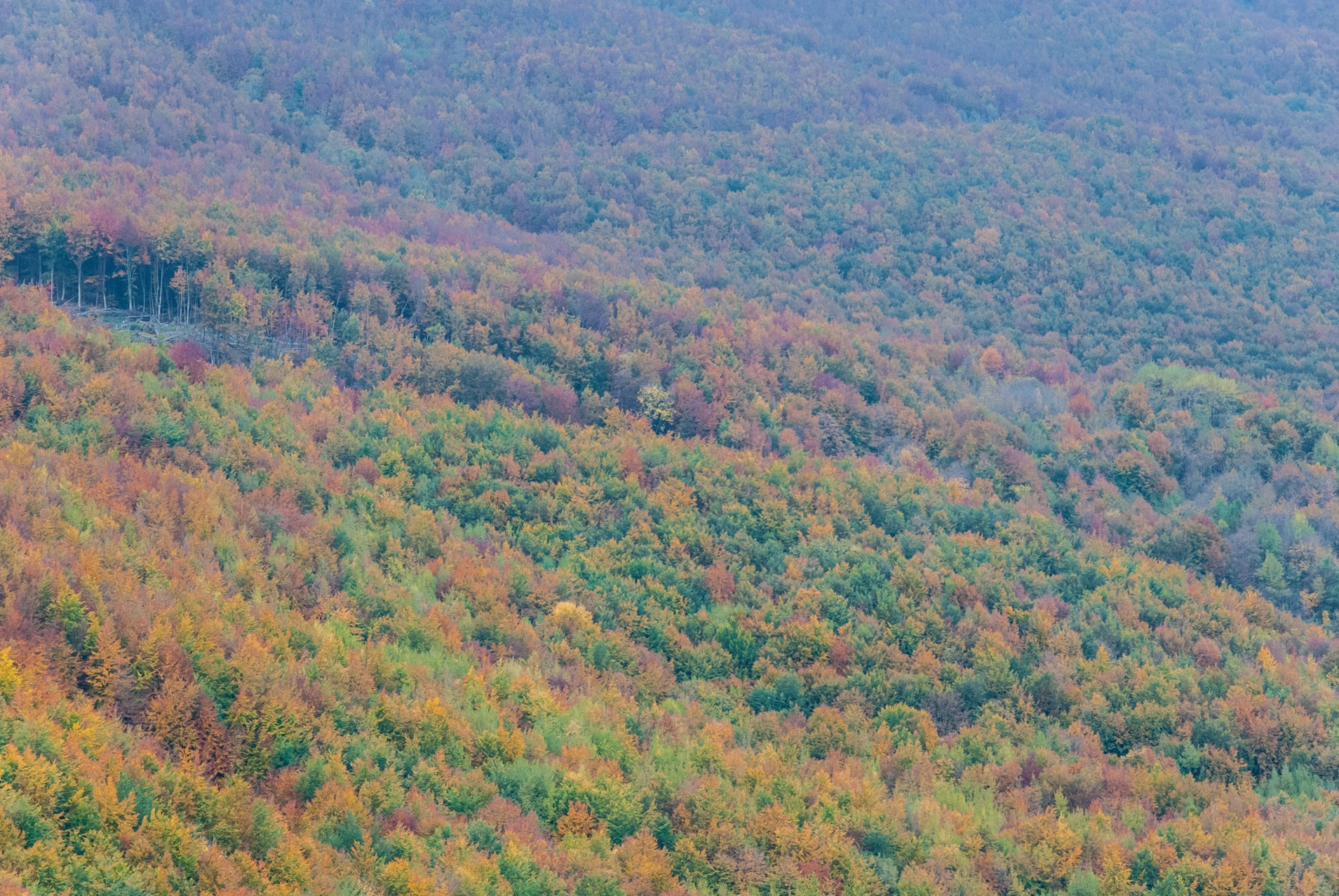 Particolari del borgo incantato di San Pietro nella valle del Gran Sasso a Teramo