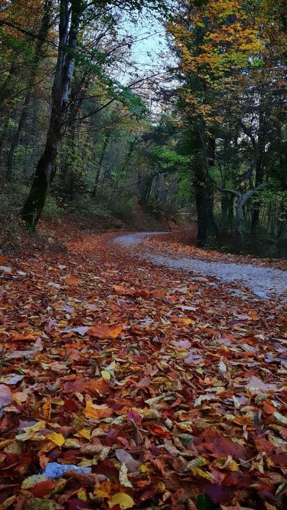 foliage Piane del Fiume a Teramo in Abruzzo nella valle del Gran Sasso
