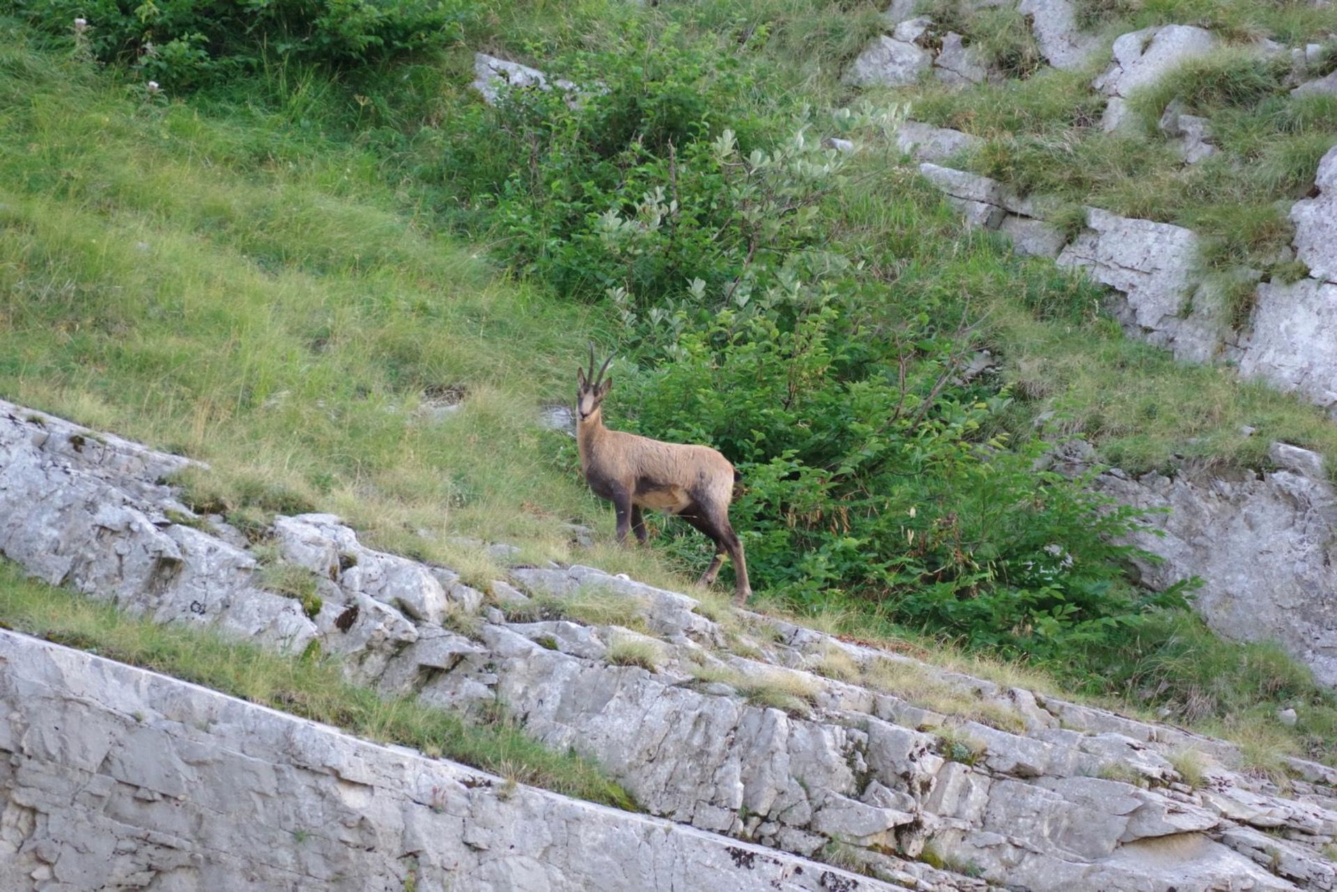 Escursione In Vetta Nella Valle Siciliana In Abruzzo Dal Bosco Di Pagliara Al Monte Prena Foto 9