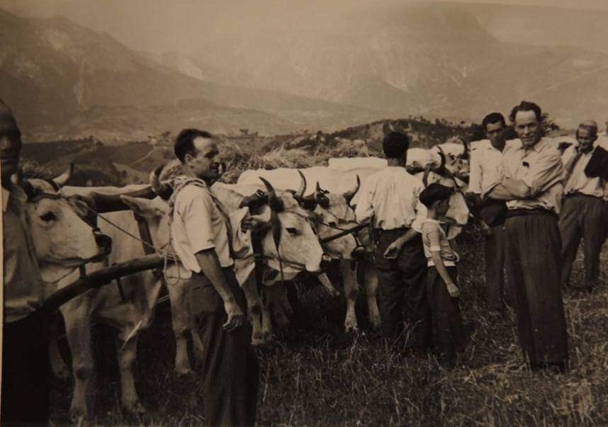 Festa delle Tradizioni a San Pietro di isola del gran sasso d'italia nella valle siciliana