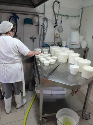 caciotte fresche Azienda Agricola Luigi Farinelli Isola Del Gran Sasso in Abruzzo