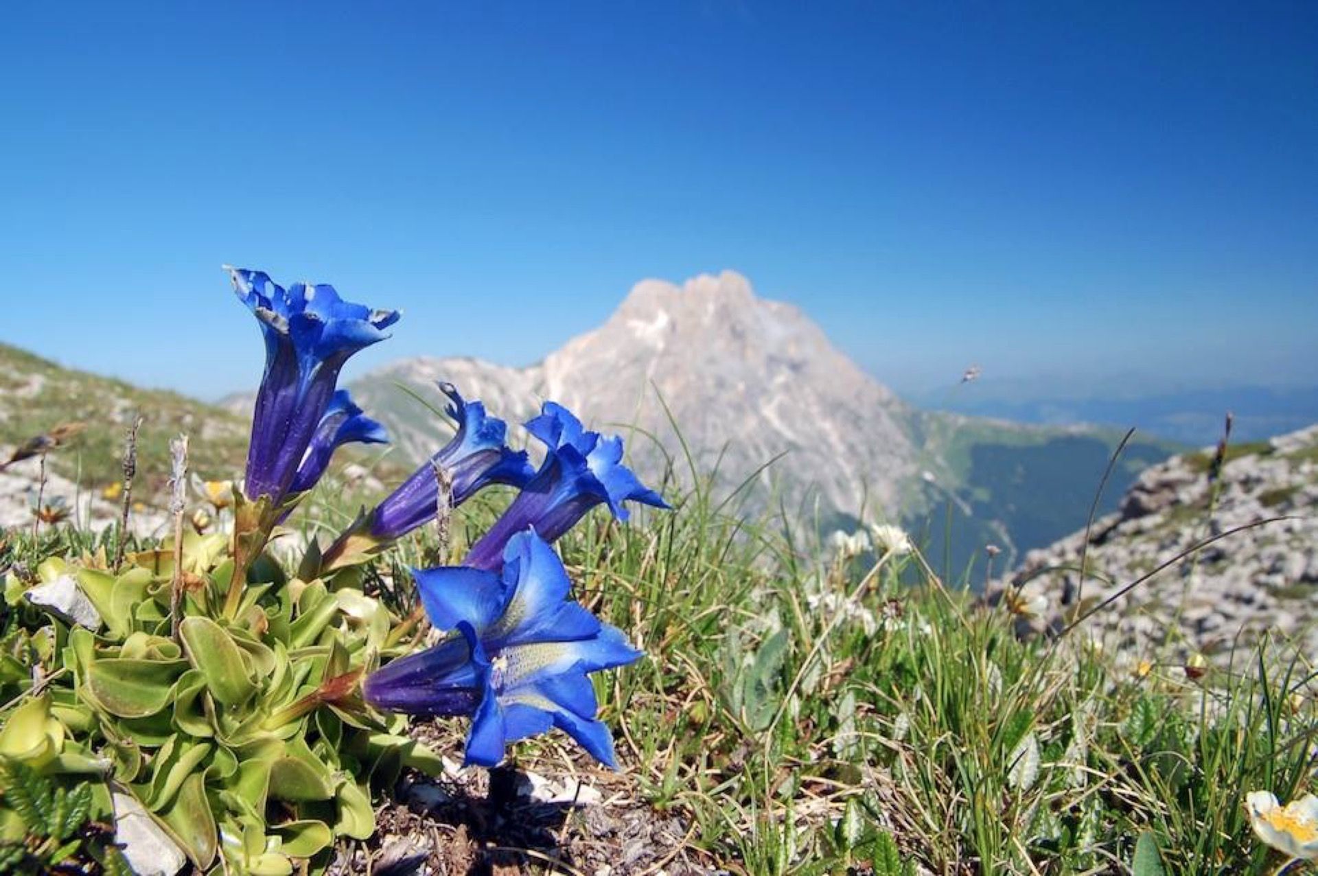 Escursione in vetta nella Valle Siciliana in Abruzzo da Macchia di San Pietro al Pizzo San Gabriele